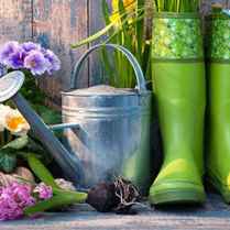 Home and Garden