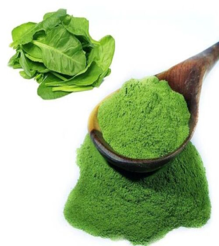 Fresh Green Spinach Powder