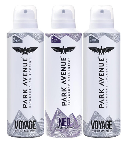 Park Avenue Signature Collection Premium Body Spray for Men, Pack of 3 348g/450ml