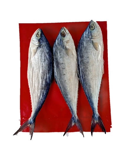 FRESH AROMA Dry Fish : Dried Pala Meen/Palaka Meen/ Leather Fish-800gm (Talang Queen Fish)- Dry Fish