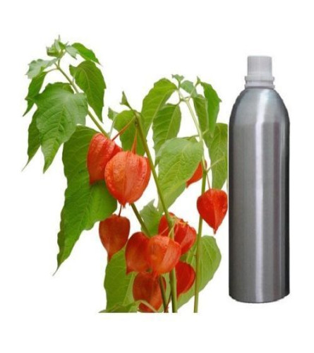 Aromaterapia terapéutica con aceite esencial puro orgánico de Ashwagandha, 500 ml (envío gratis)