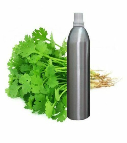 coriander-essential-oil-100-pure-natural-therapeutic-aromatherapy-500-ml-free-shipping-world