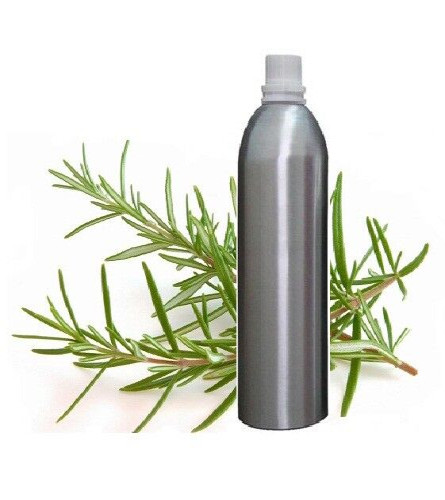 rosemary-essential-oil-pure-uncut-natural-therapeutic-aromatherapy-100-ml-free-shipping-world