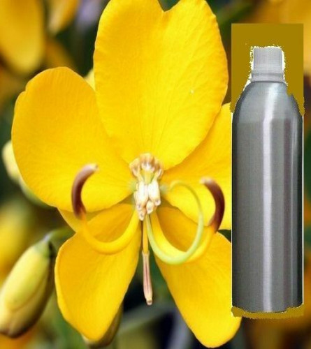 cassia-pure-essential-oil-natural-organic-therapeutic-aromatherapy-100ml-free-shipping-world
