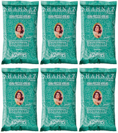Shahnaz Husain Henna Precious Herb Mix, Brown, 100 gm (Pack of 6) Free Shipping World
