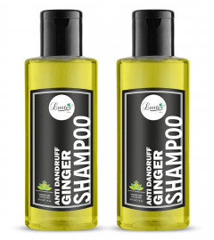 Luster Ginger Anti-Dandruff Shampoo 210 ml (Pack of 2) Free Shipping World