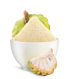 Fresh Custard Apple powder 500 g (free shipping world)