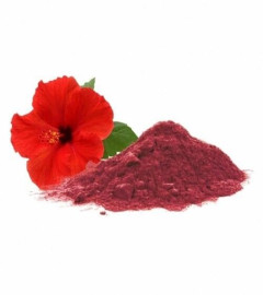 Fresh Hibiscus Powder 500 g (free shipping world)