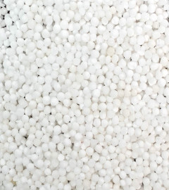 More Sabudana Loose (500 g) (Free Shipping Worldwide)