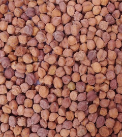Chana Big Loose (1 KG) Free shipping worldwide