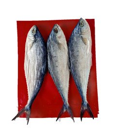 FRESH AROMA Dry Fish : Dried Pala Meen/Palaka Meen/ Leather Fish-800gm (Talang Queen Fish)- Dry Fish