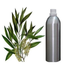 Aceite Esencial Cajuput Aromaterapia Terapéutica Natural 100% Puro, 500 ml | envío gratis