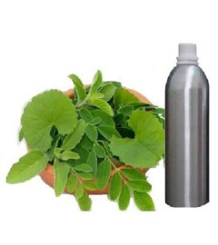 Aceite Esencial Puro Brahmi (Bacopa Monnieri) Aromaterapia Terapéutica, 500 ml (envío gratis)