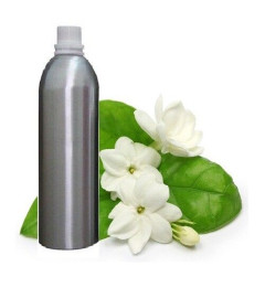 Pure Bela Essential Oil Jasminum sambac Therapeutic Aromatherapy 500 ml (free shipping world)