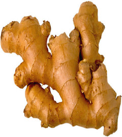 Ginger Root: Fresh, Whole, Raw, Organic, NON-GMO Fresh Harvest, Eat or Grow- 1lb