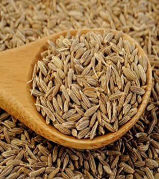 Cooking & Baking Supplies›Spices & Masalas›Whole Spices, Seeds & Herbs›Cumin Seeds