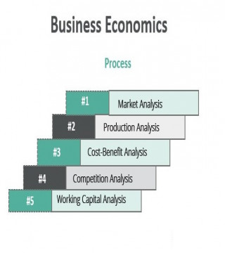 Business & Economics›Economics