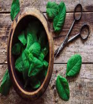 Health Care›Digestion & Nausea