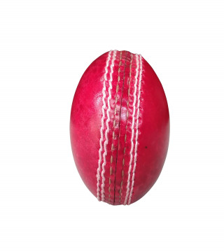Cricket›Balls›Leather