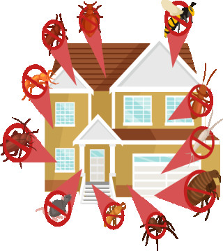 Household Supplies›Indoor Insect & Pest Control