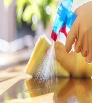 Household Cleaners›Disinfectant Sprays & Liquids