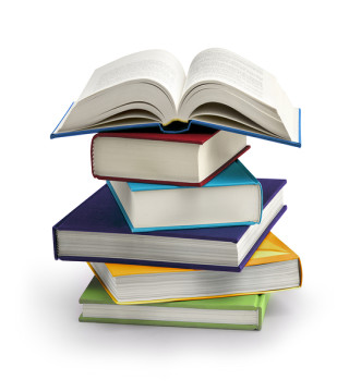 Literature & Fiction›Indian Writing